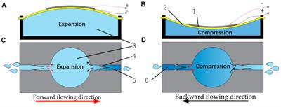 Recent Advances in Micro-Electro-Mechanical Devices for Controlled Drug Release Applications